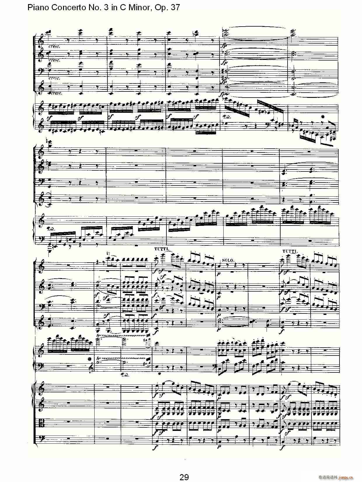 CСٵЭ()28