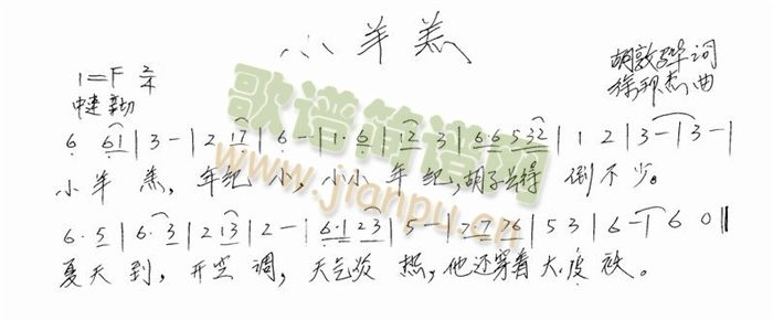 小羊羔