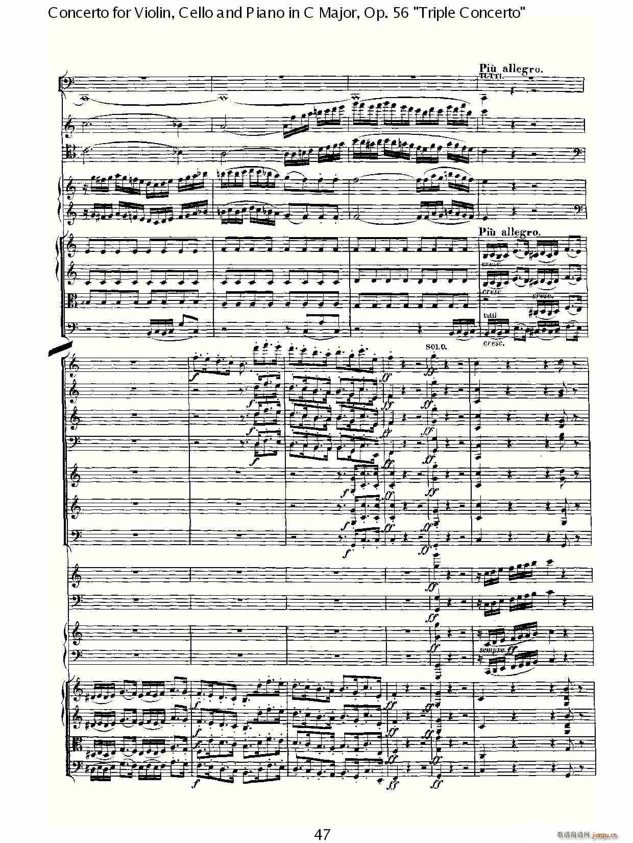 CЭOp.56һ()17