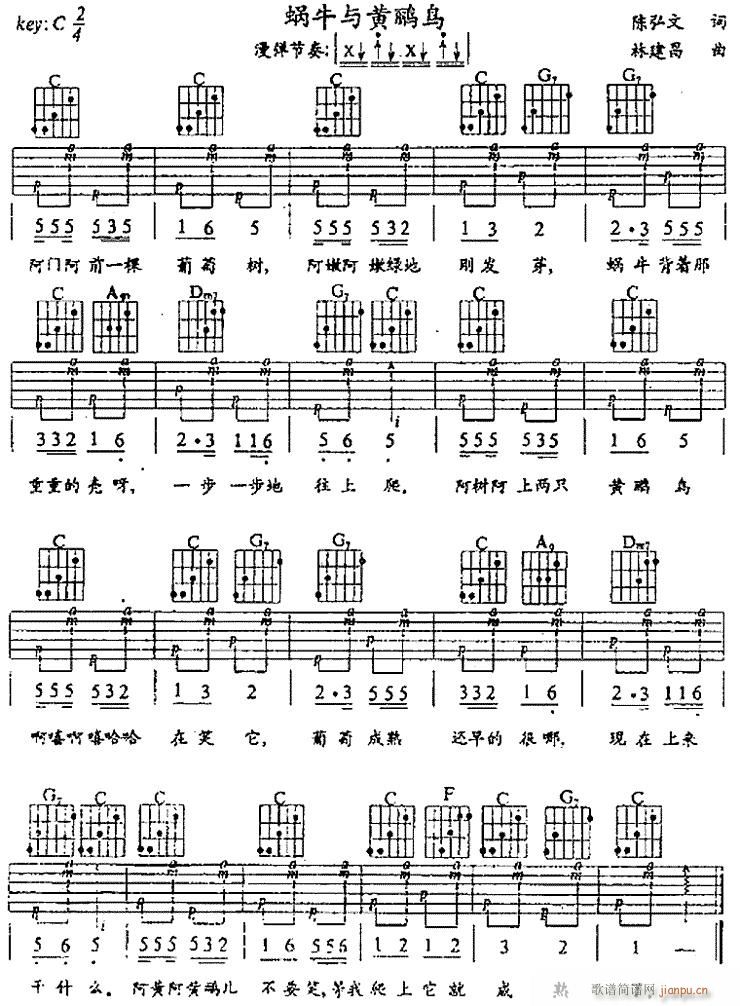 ţ-()1