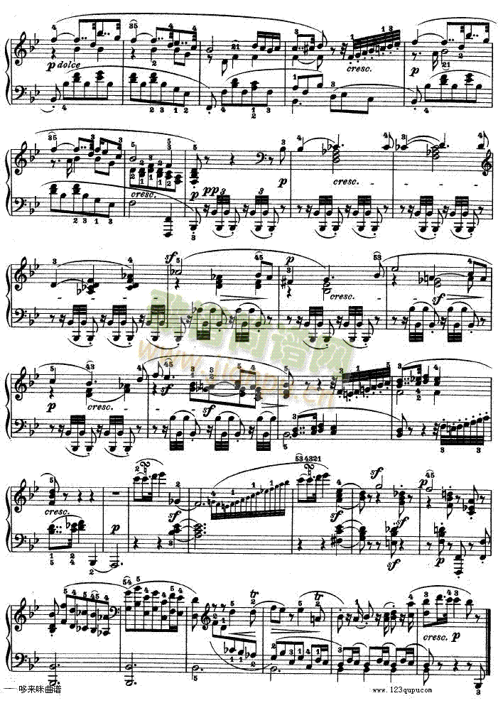 -dСʮ߸-Op.312-()11