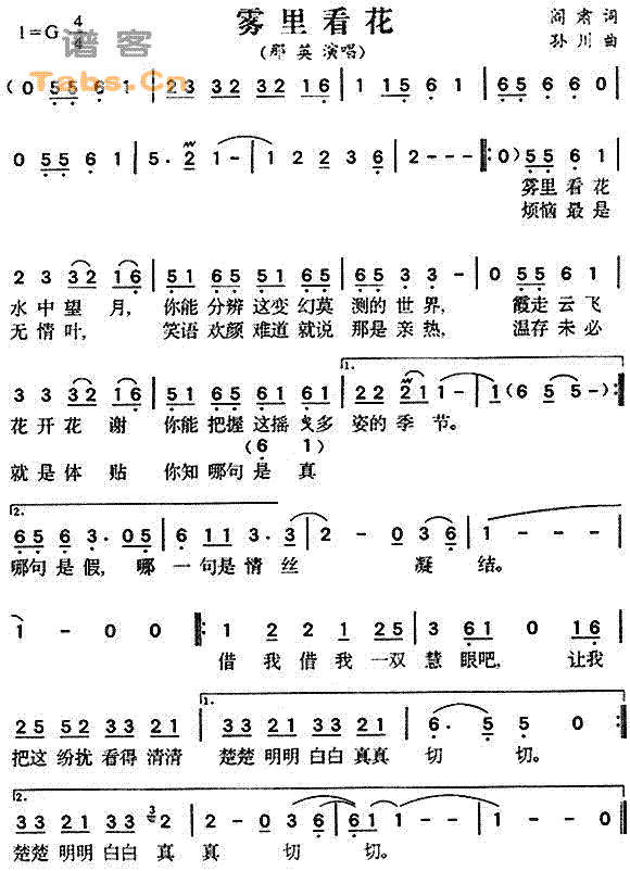 雾里看花