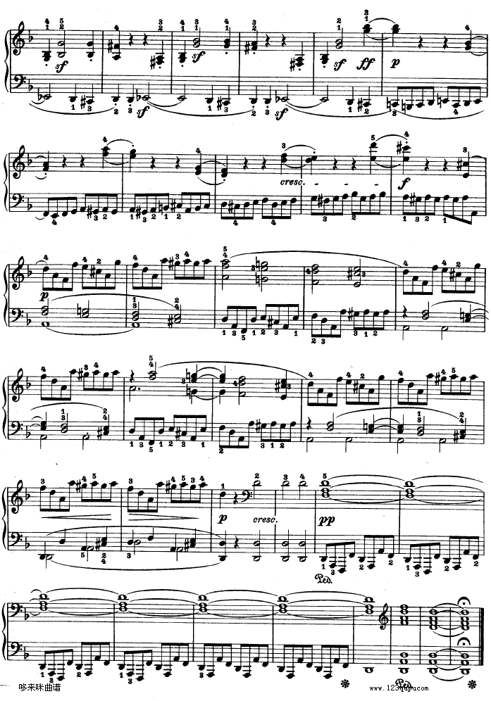 -dСʮ߸-Op.312-()7
