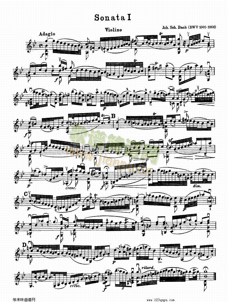 巴赫小提琴协奏曲1(其他乐谱)1