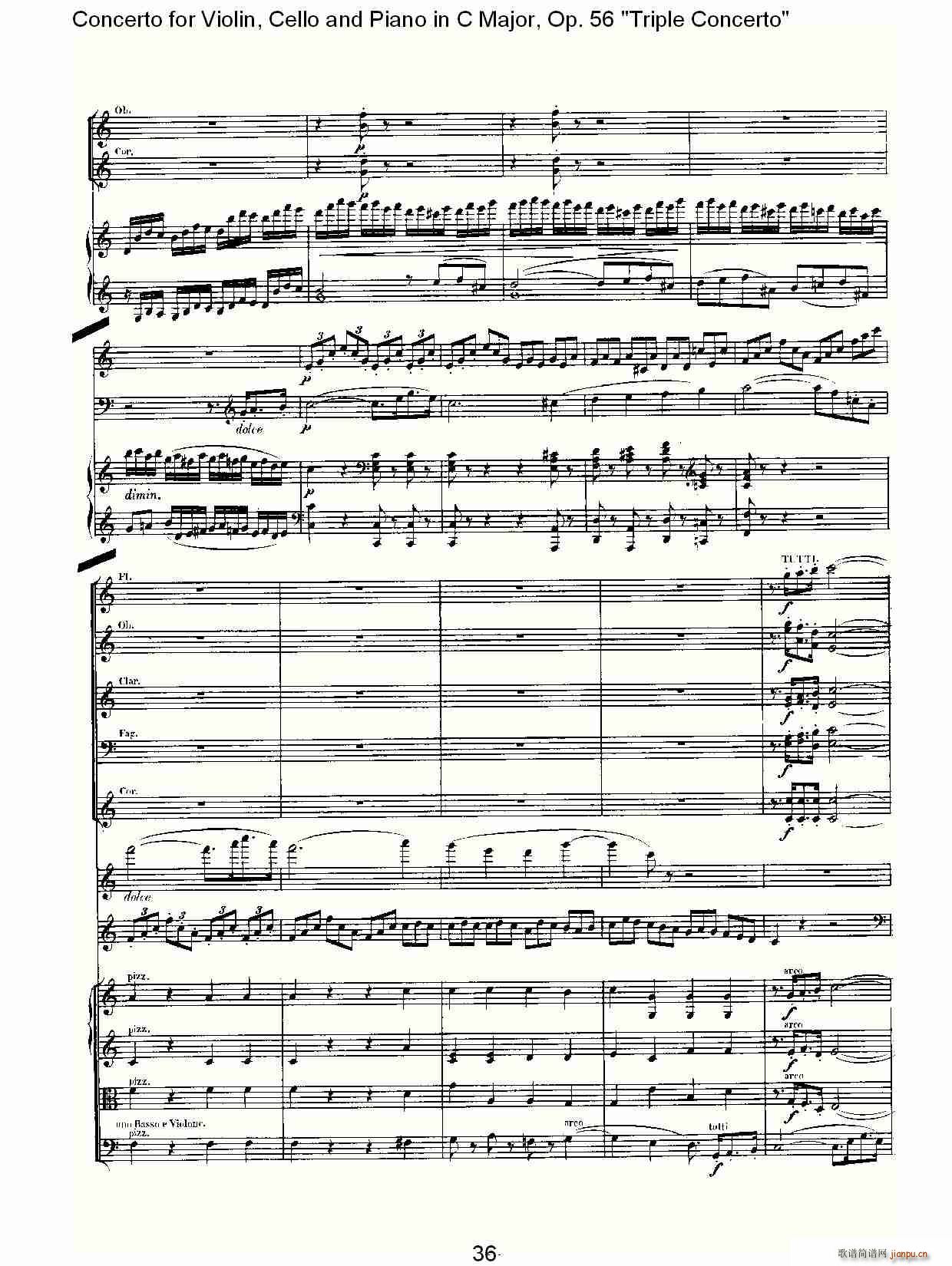 CЭOp.56һ()6