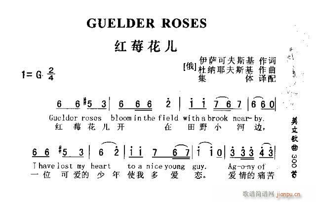 GUUELDER ROSES(ʮּ)1