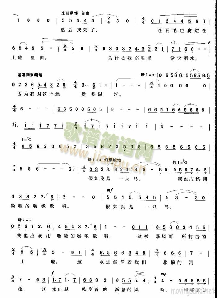 我爱这土地 歌谱简谱网