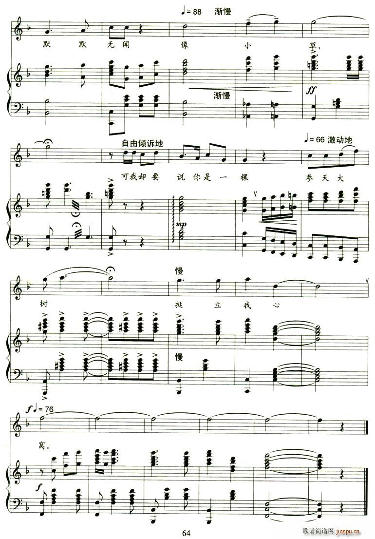 ж(ָ)6