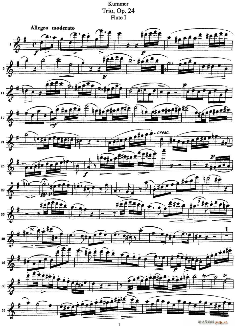 ĬOp 24 Flute 1()1