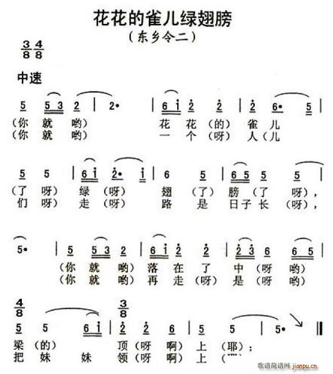 ȸ̳(ָ)1