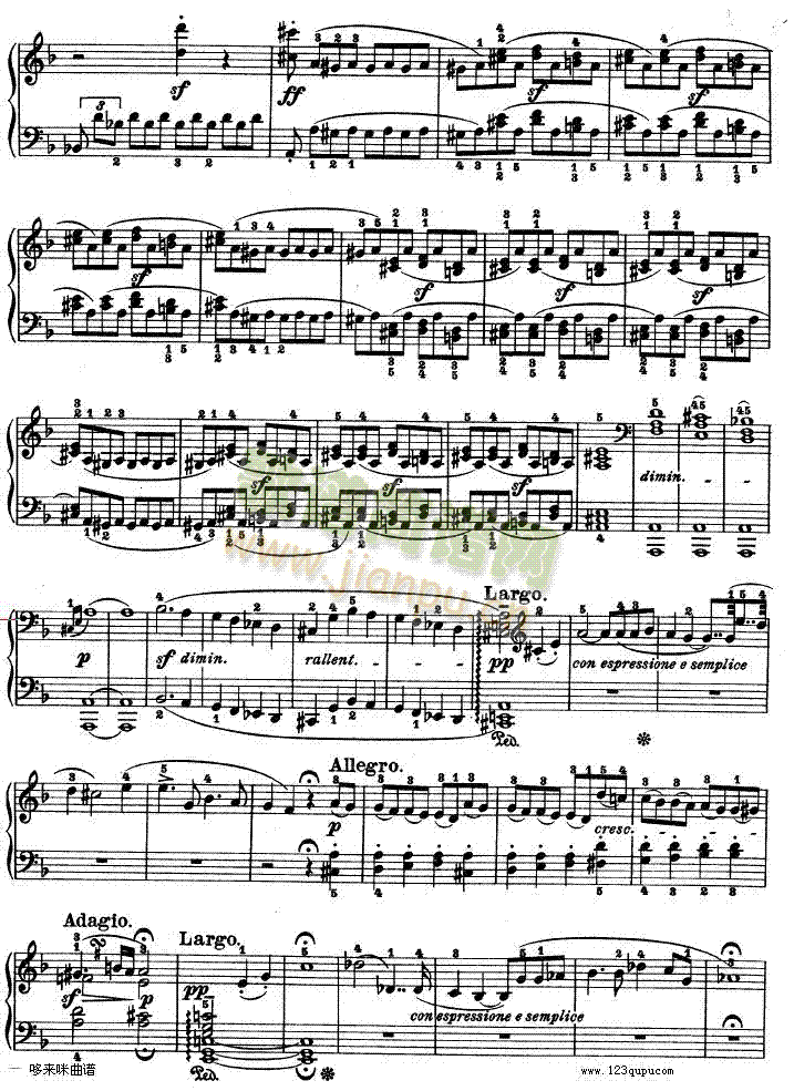 -dСʮ߸-Op.312-()5