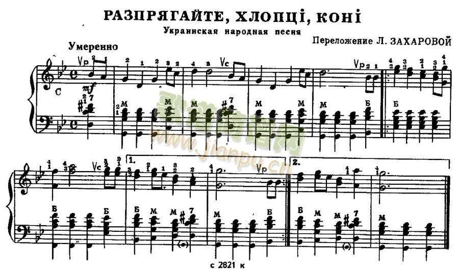 koni()1