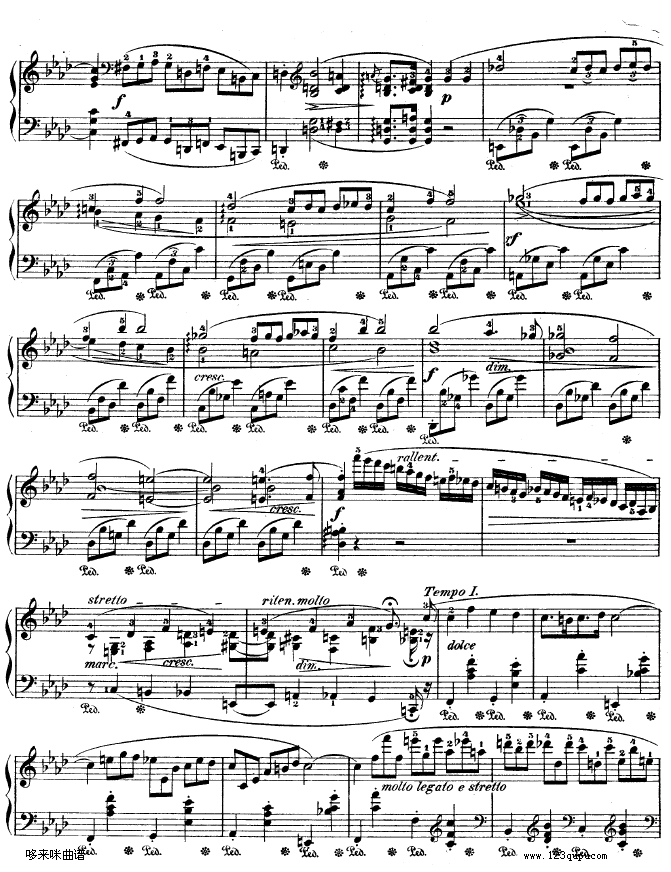 ҹNo.15-OP.55-1-Ф()3