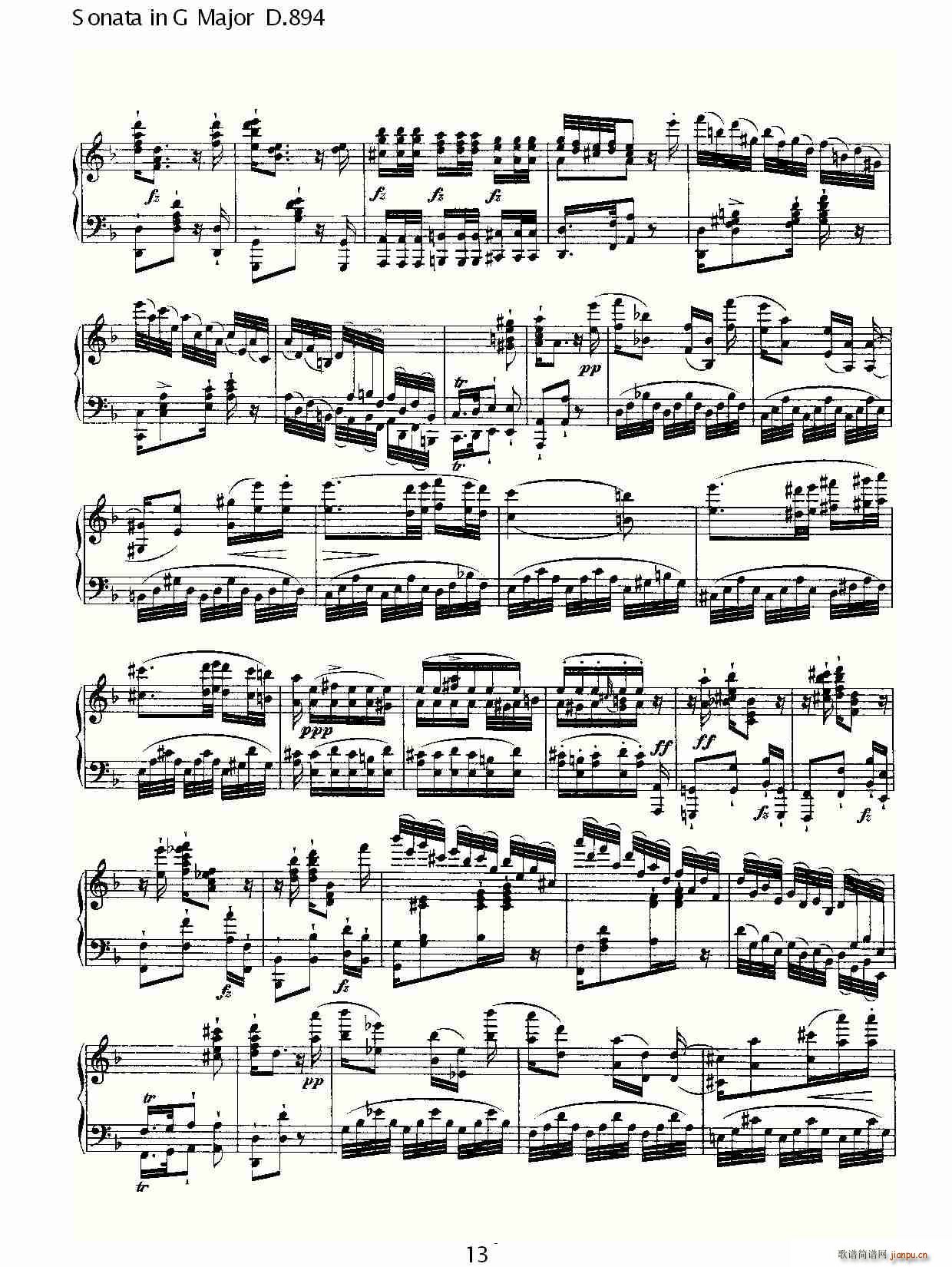 Sonata in G Major D.894(ʮּ)13