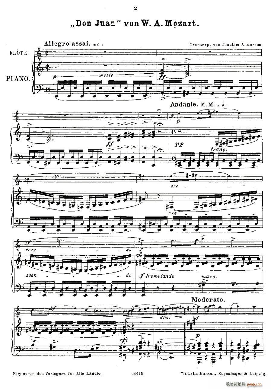 Opern-Transcriptionen.Op.45-5()1