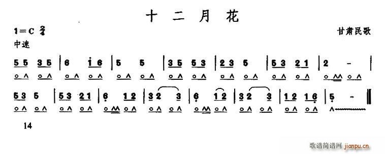 ʮ» ()1