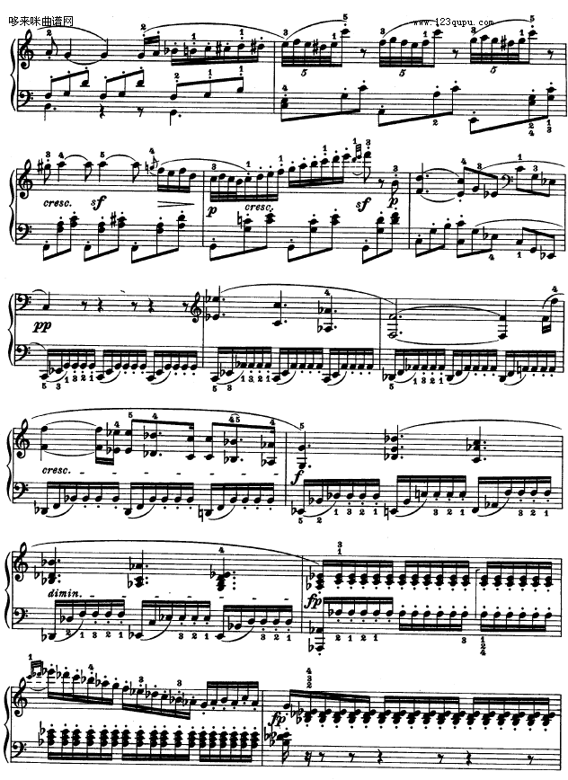 ʮ--()11