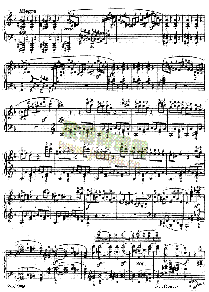 -dСʮ߸-Op.312-()6