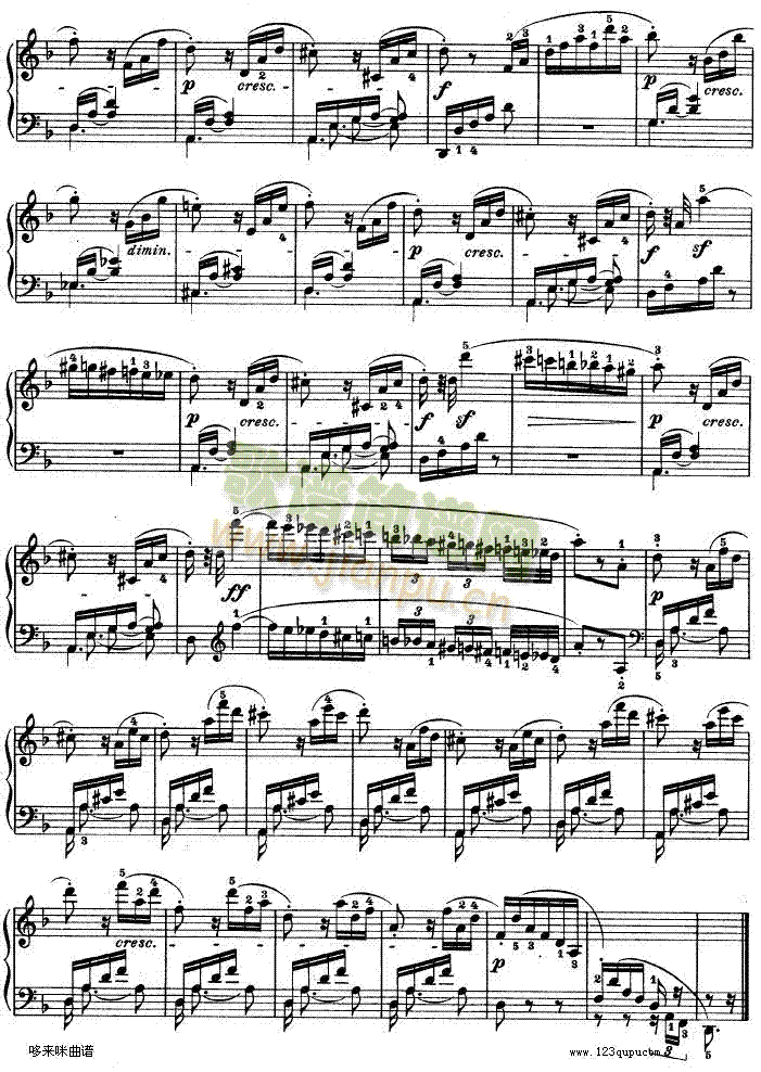 -dСʮ߸-Op.312-()21