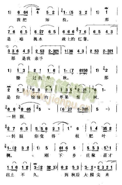 ҲҲ1-5()5