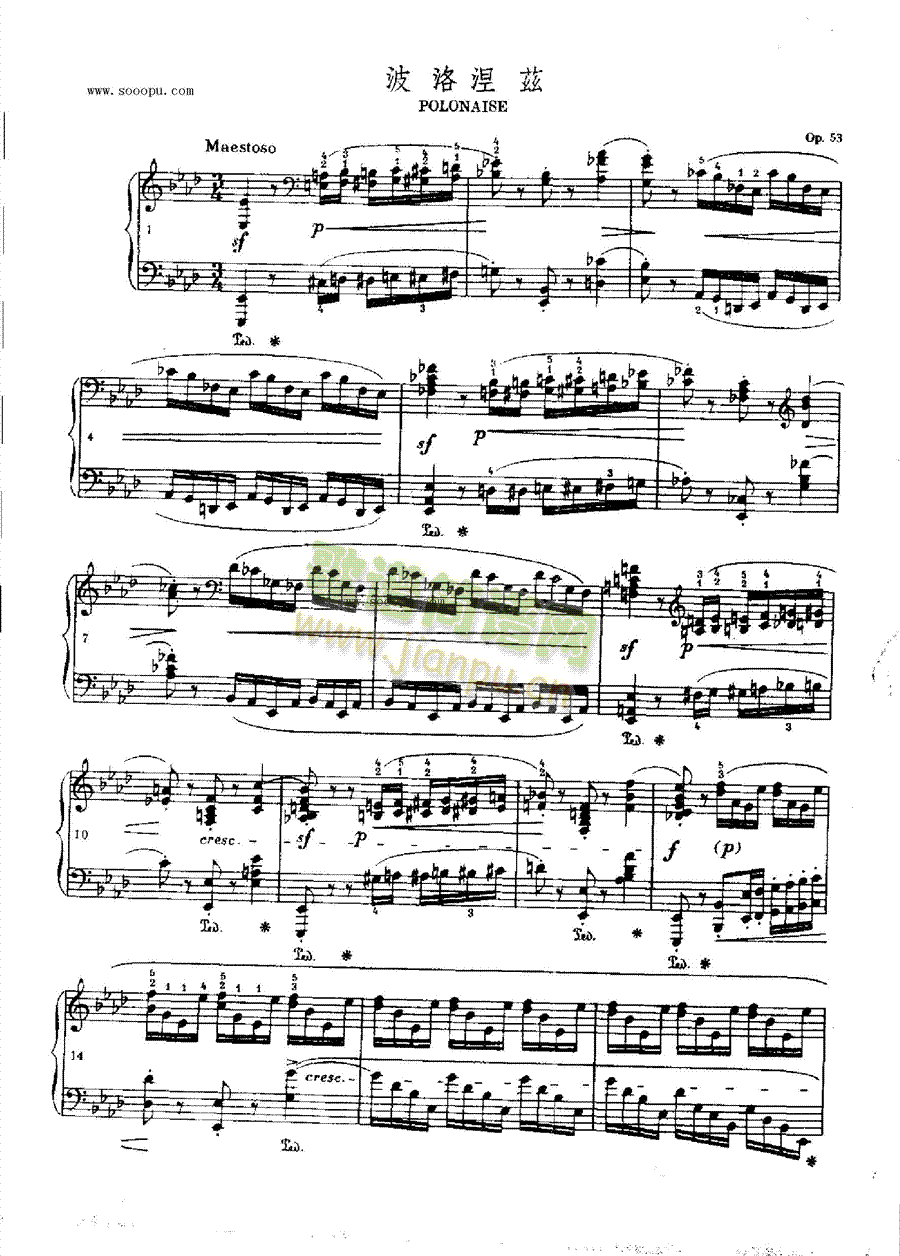 OP.53()1