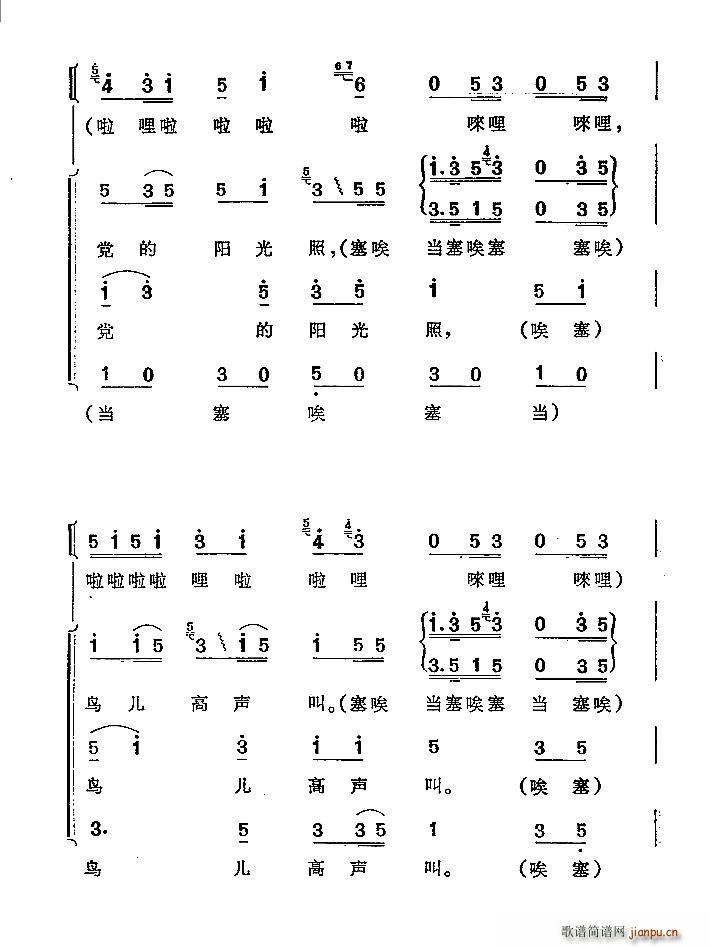 ɽҥϳ(ָ)5