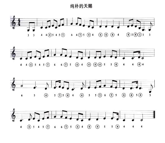ӵ()1