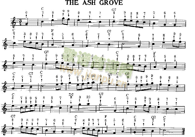 TheAshGrove()1