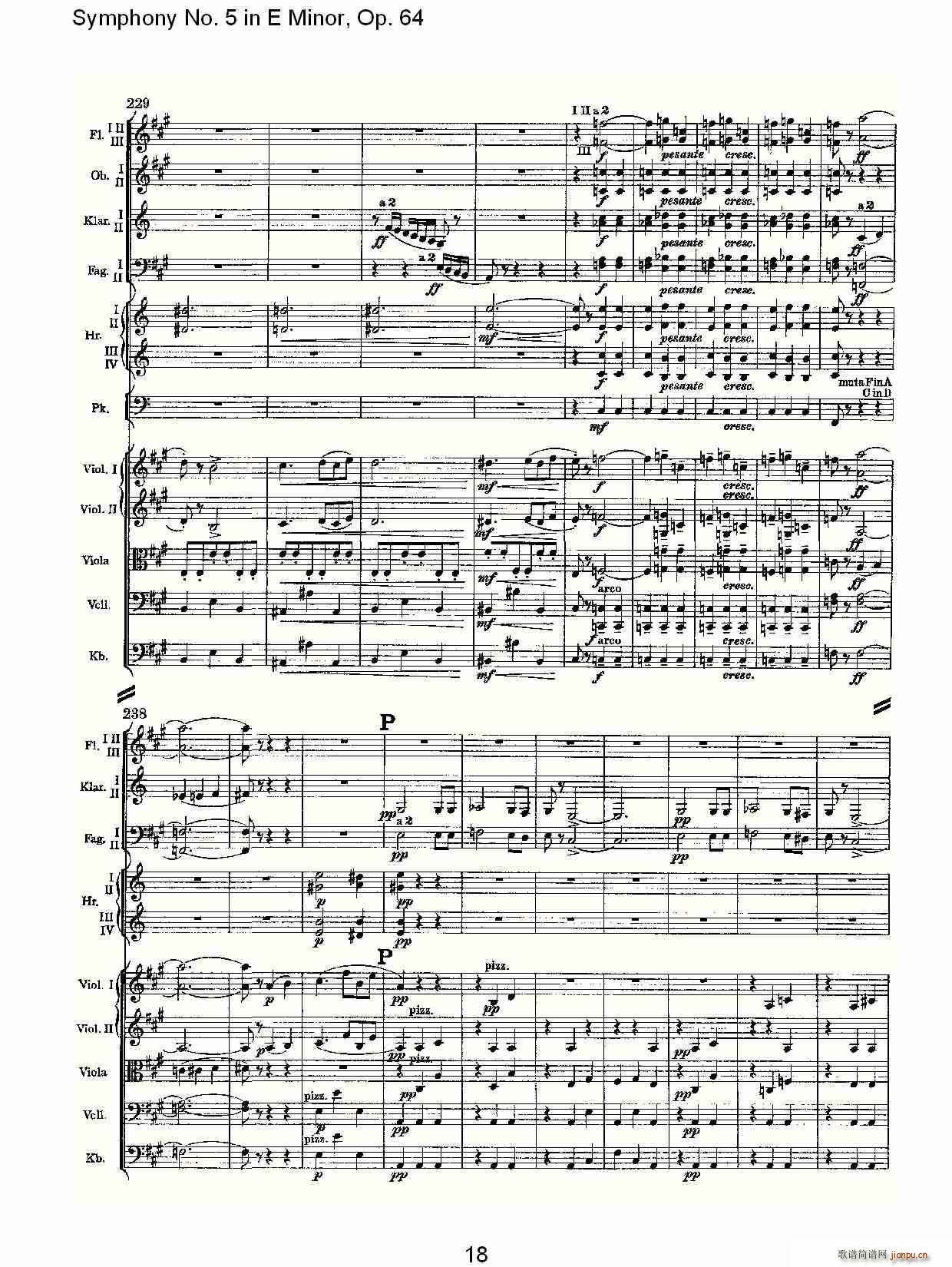 Symphony No. 5 in E Minor, Op.(ʮּ)18