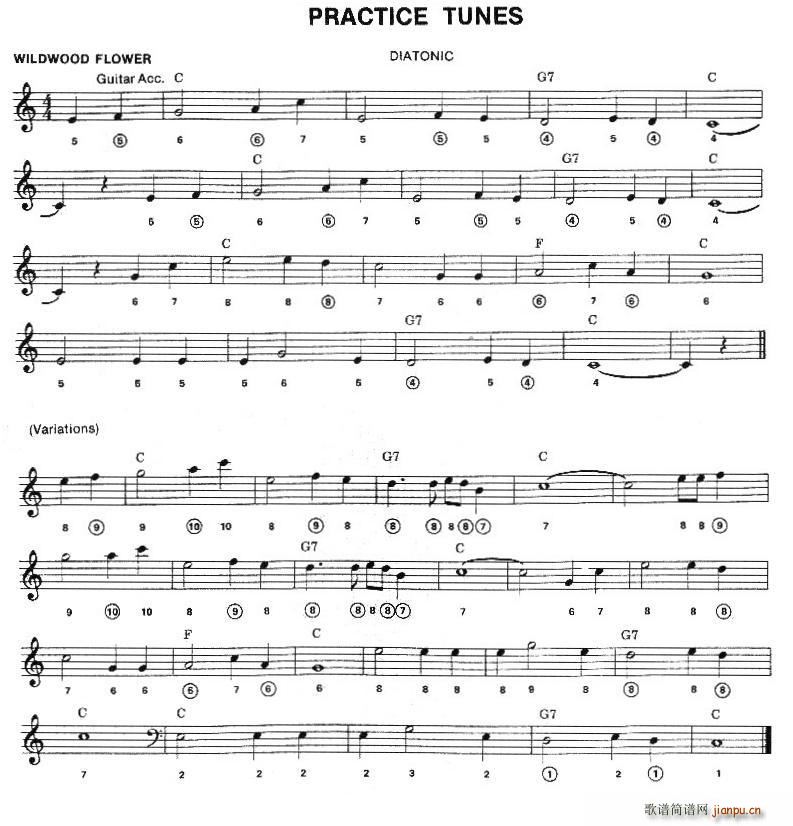 practice tunes(布鲁斯入门初级乐曲2首, ) 口琴