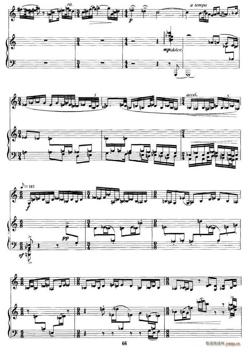 (С)5