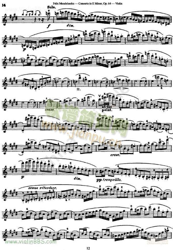ŵ¶Concerto(С)5