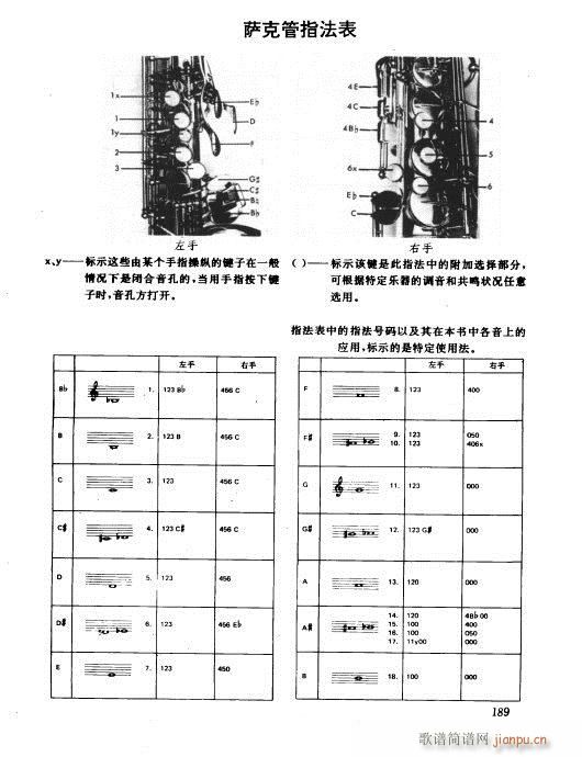 181-197(ָ)9