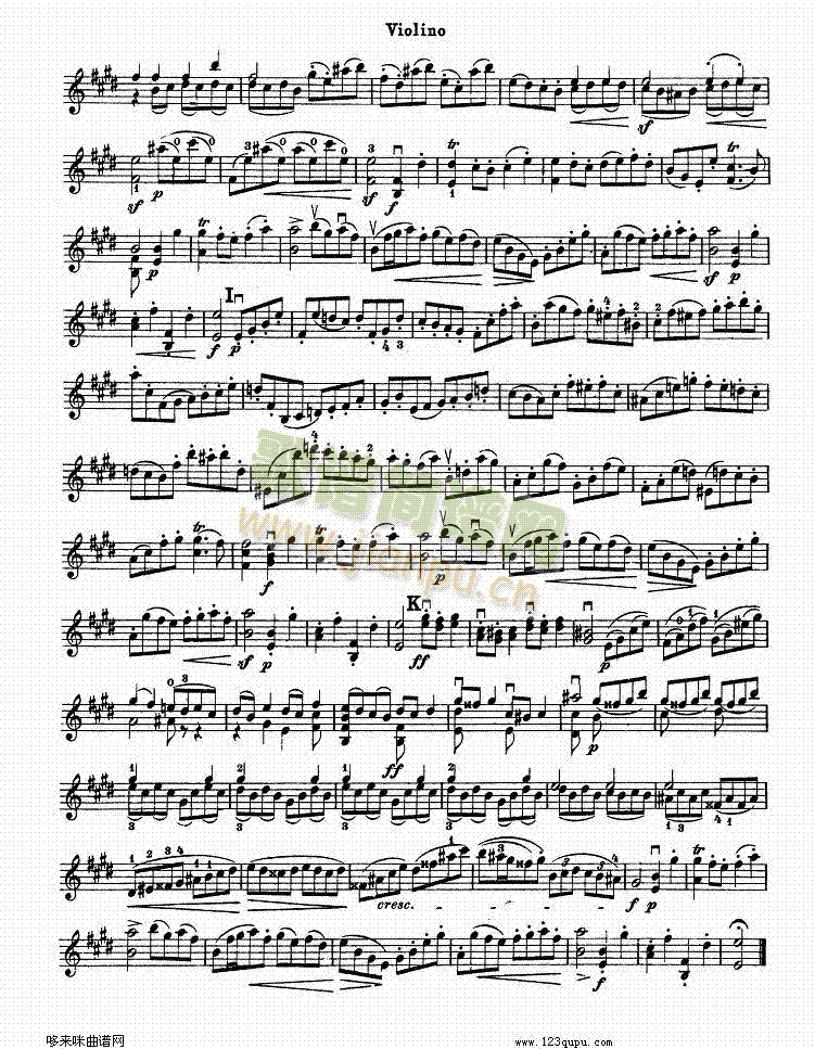 巴赫小提琴变奏曲3(其他乐谱)5
