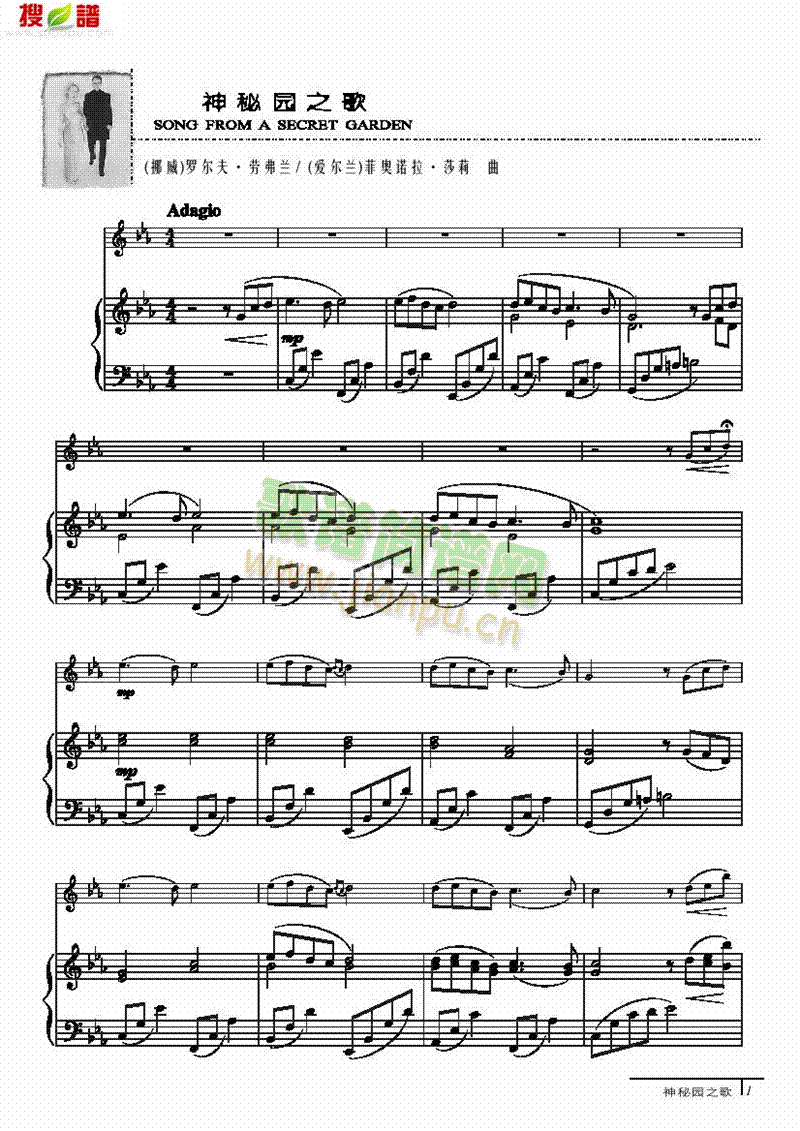 神秘园之歌-钢伴谱弦乐类小提琴(其他乐谱)1