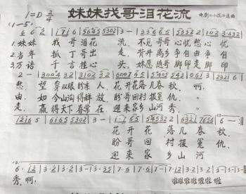 妹妹找哥泪花流 歌谱简谱网