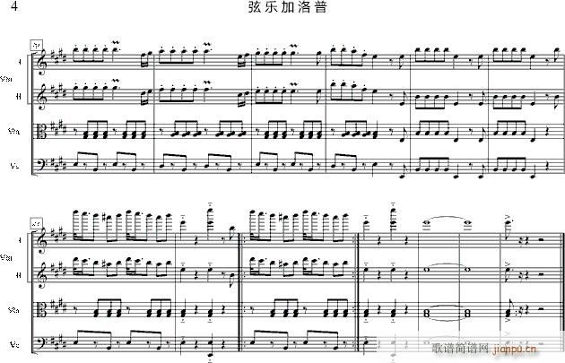 弦乐加洛普