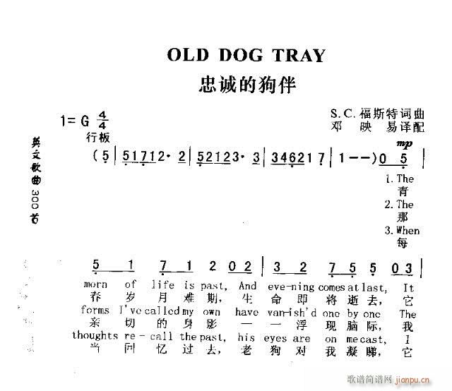 OLD DOG TRAY(ʮּ)1