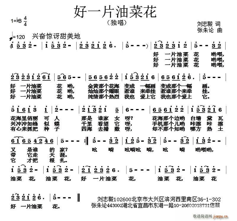 好一片油菜花