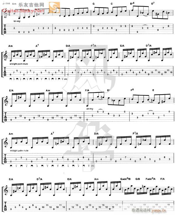 Steve Morse()1