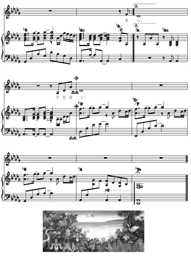 ഺȴ(ָ)5