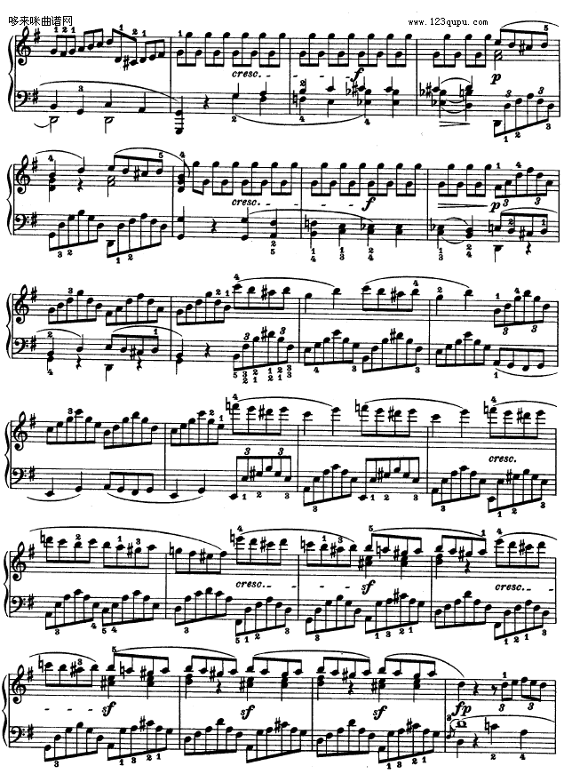 ʮ--()20