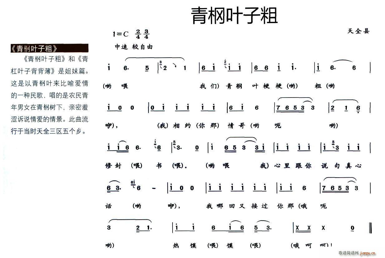 青棡叶子粗简谱