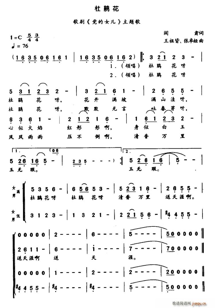ž黨  Ů ѡ(ʮּ)1