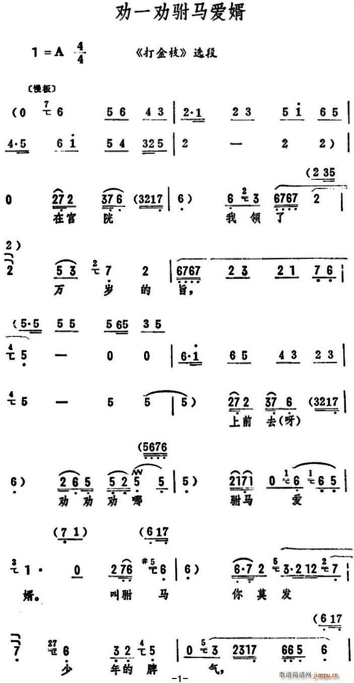 ȰһȰ ֦ ѡ(ʮּ)1