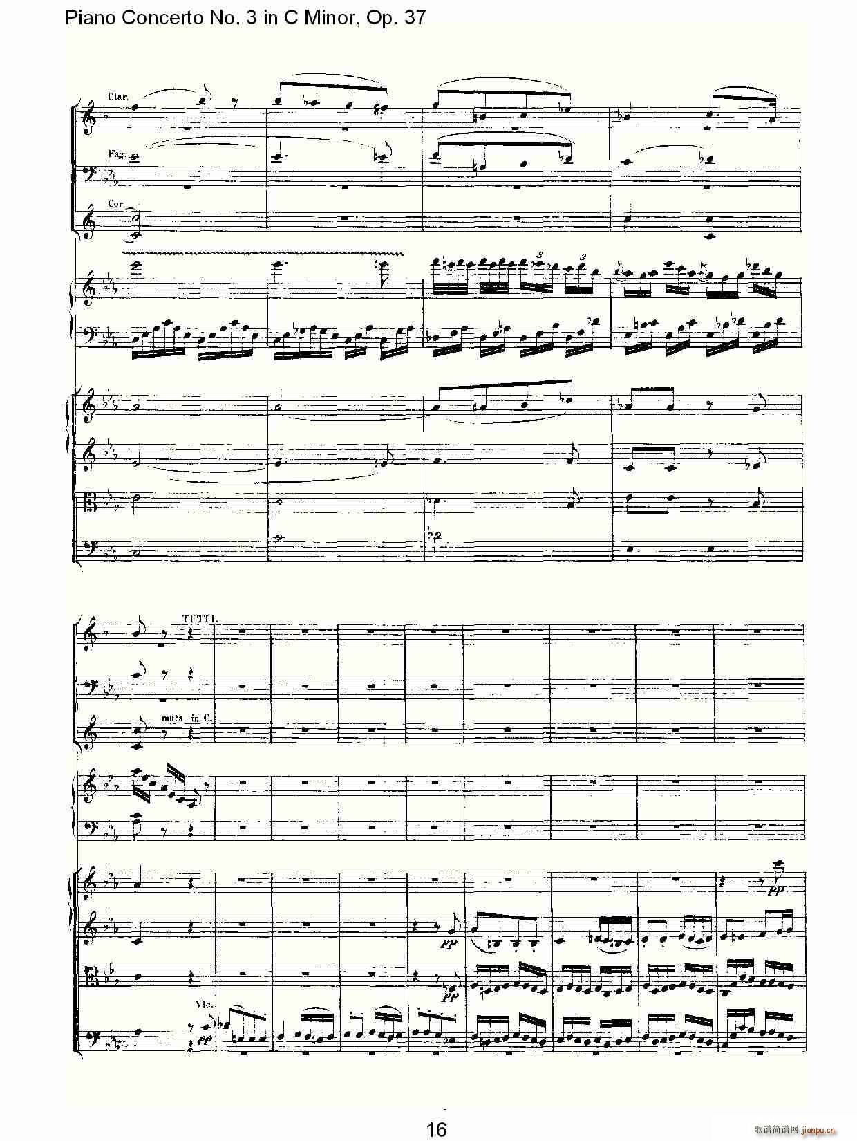 CСٵЭ()16