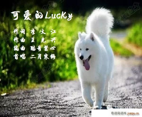 ɰLucky(ָ)1