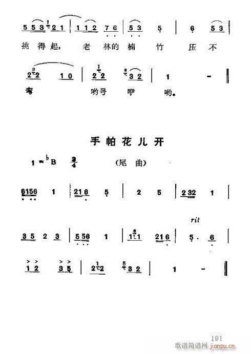 红梅荧简谱_红梅傲雪图片(3)
