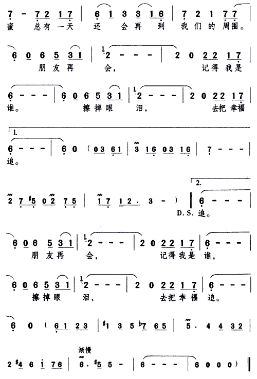 别离 歌谱简谱网