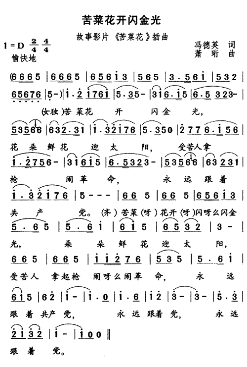 苦菜花开闪金光